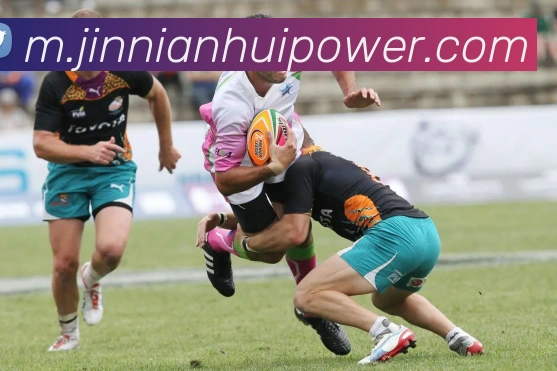 金年会服务体系